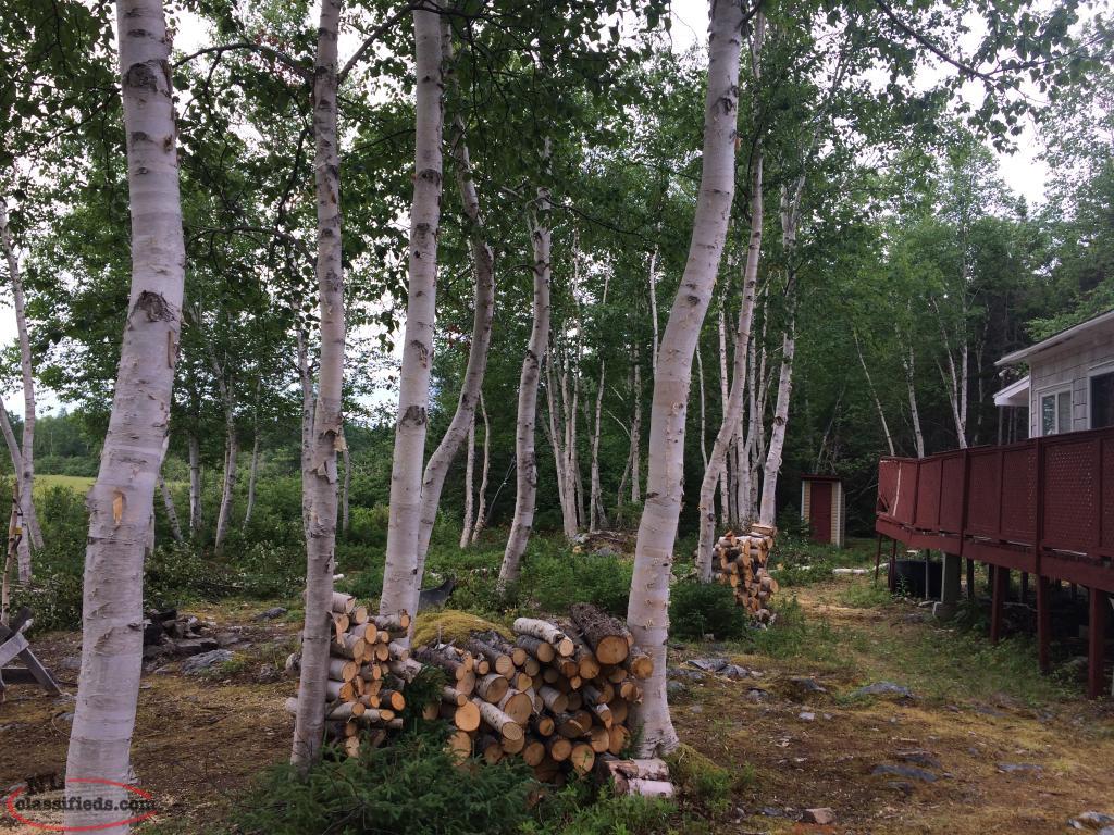 Cabin for sale Indian Bay, Newfoundland Labrador NL Classifieds