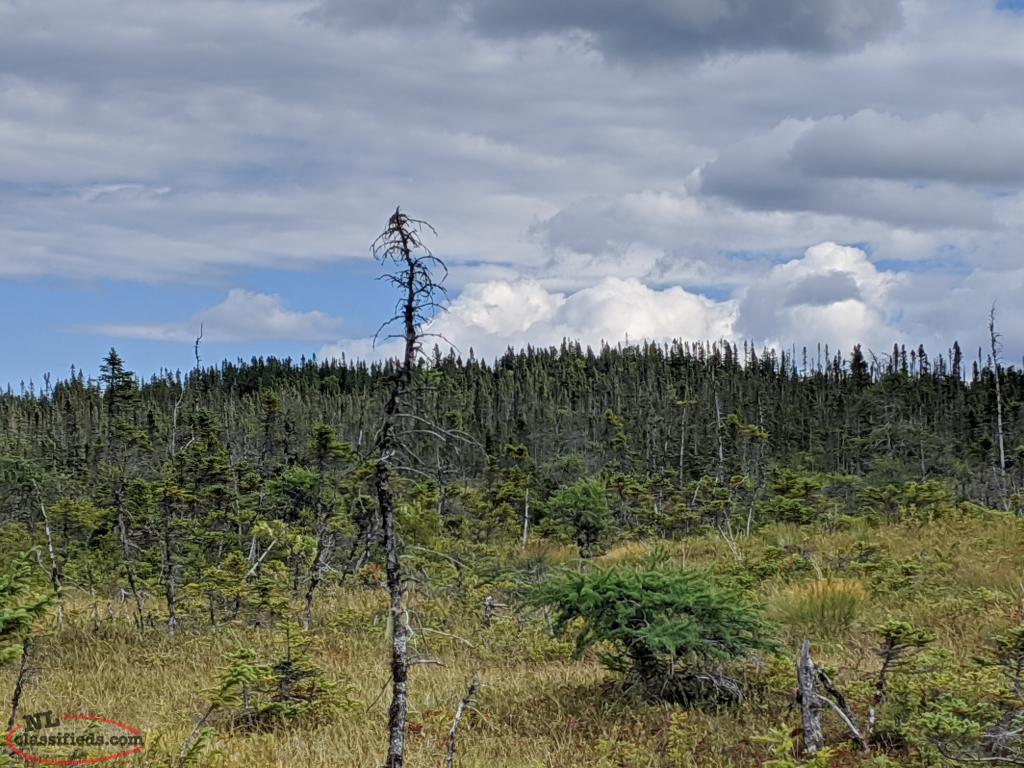 Land Glovertown, Newfoundland Labrador NL Classifieds