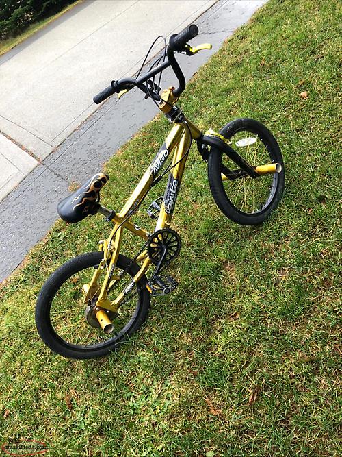 Kids gold BMX bike Torbay, Newfoundland Labrador NL Classifieds Print