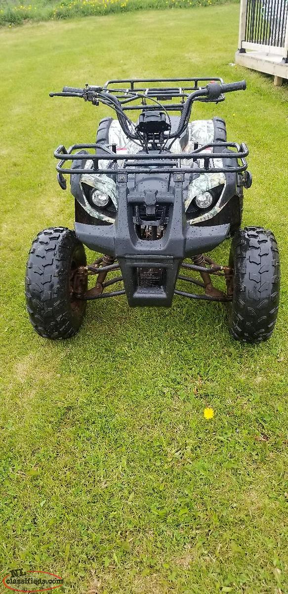 tao tao 250 dual sport