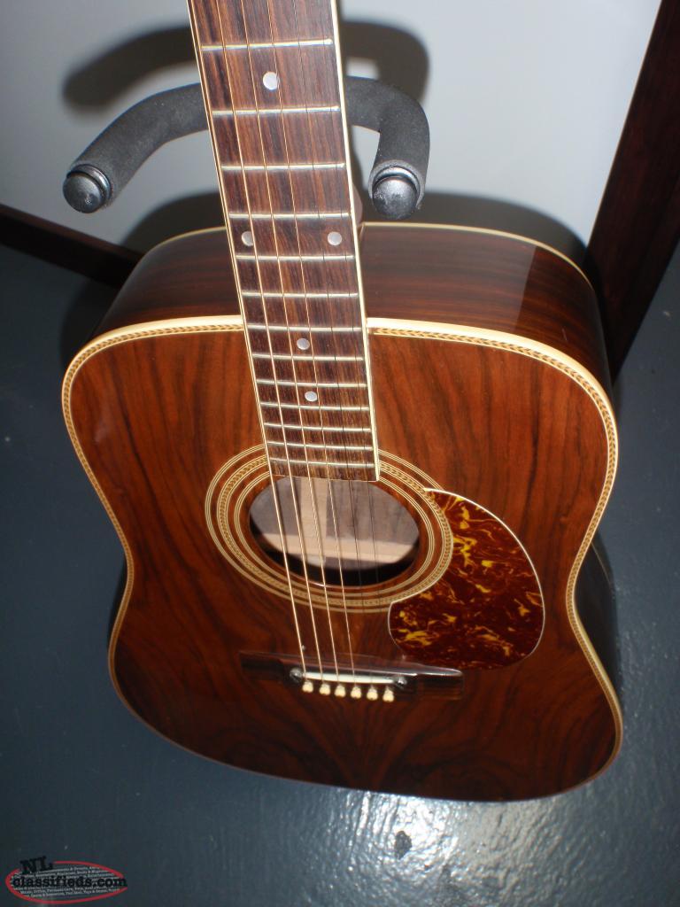grand prix acoustic guitar with hard case Grand Falls Windsor