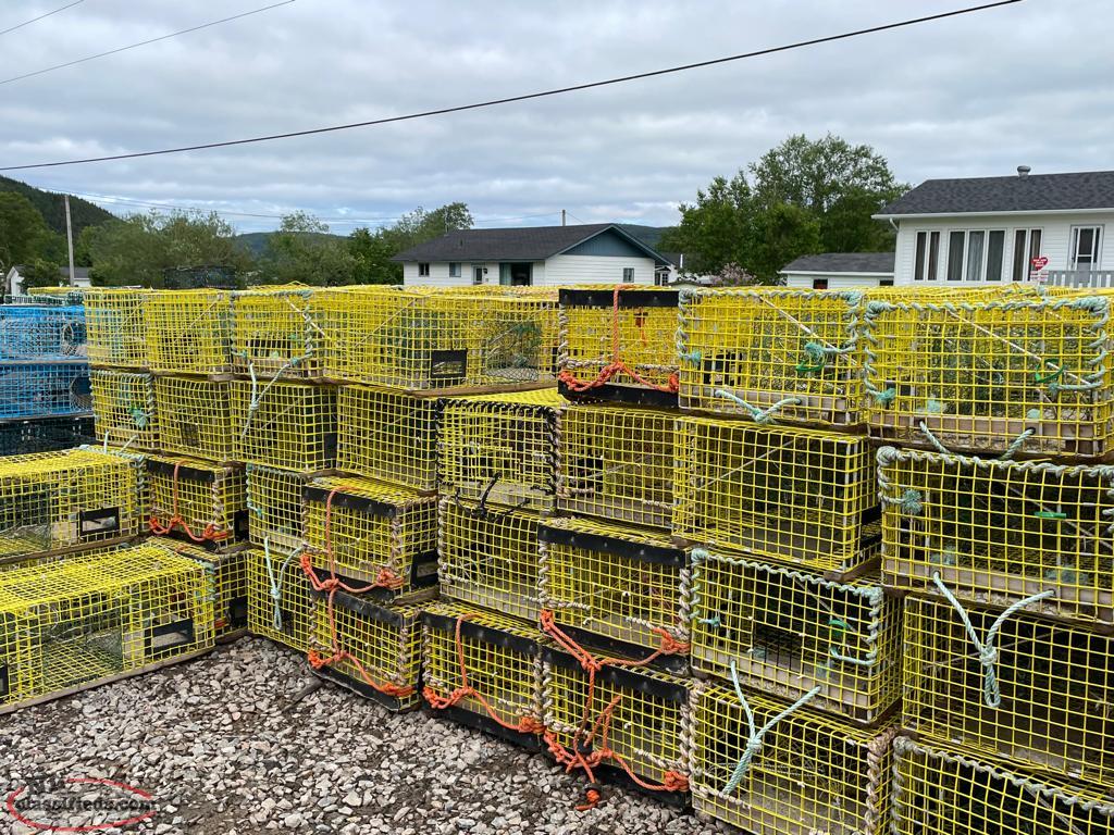 Wire Lobster Traps Coxs Cove, Newfoundland Labrador NL Classifieds