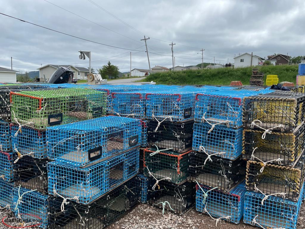 Wire Lobster Traps Coxs Cove, Newfoundland Labrador NL Classifieds