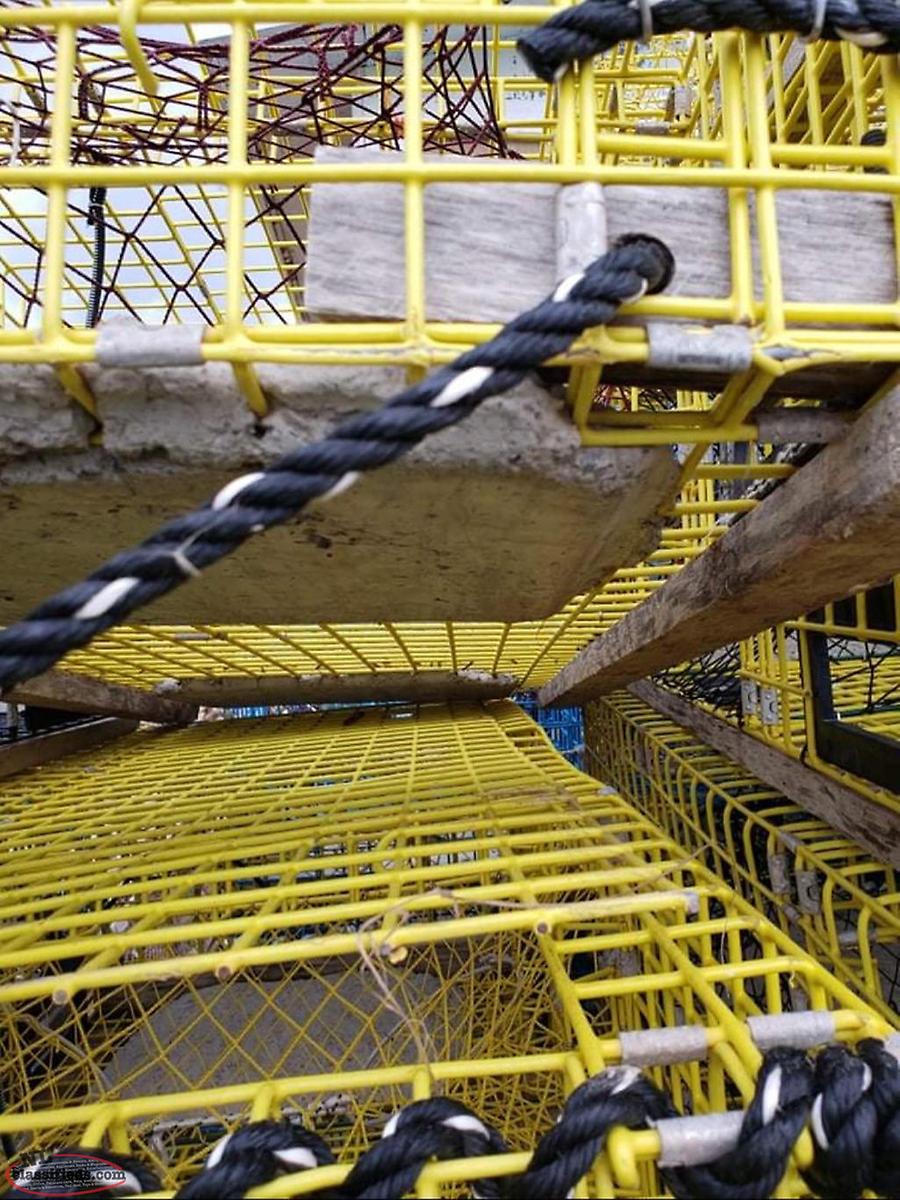 Wire Lobster Traps Coxs Cove, Newfoundland Labrador NL Classifieds