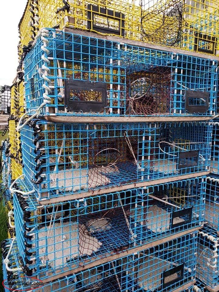 Wire Lobster Traps Coxs Cove, Newfoundland Labrador NL Classifieds