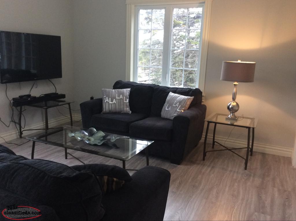 Fully furnished executive 1 bedroom apartment in Marystown Marystown