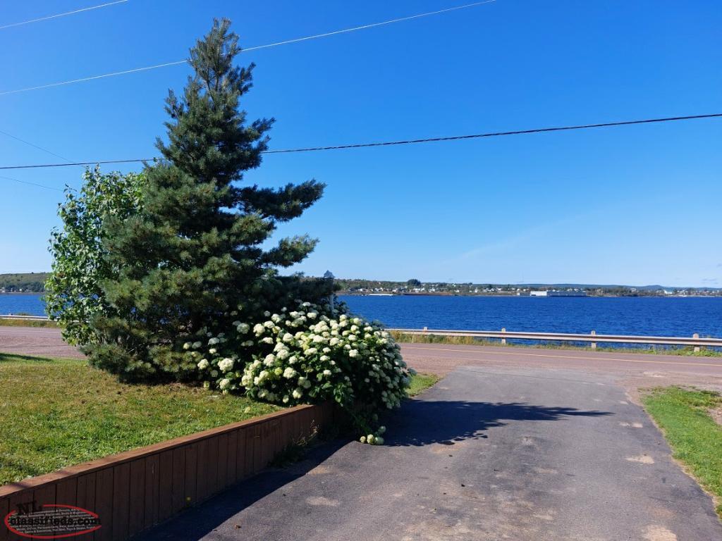 162 Main St, Peterview, NL OCEANVIEW! Peterview, Newfoundland