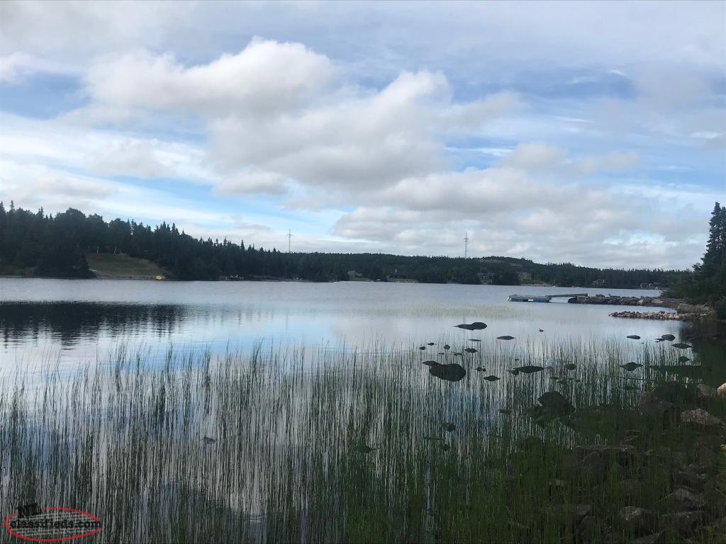 Thorburn Lake Building Lot Thorburn Lake, Newfoundland Labrador NL