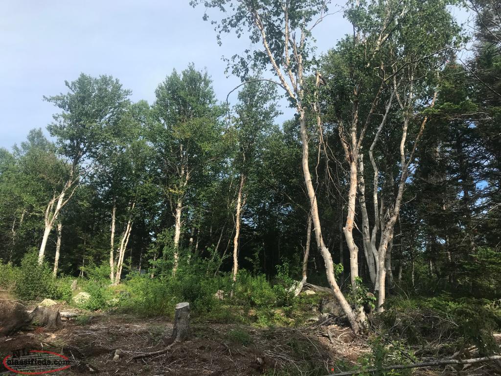 Thorburn Lake Building Lot Thorburn Lake, Newfoundland Labrador NL