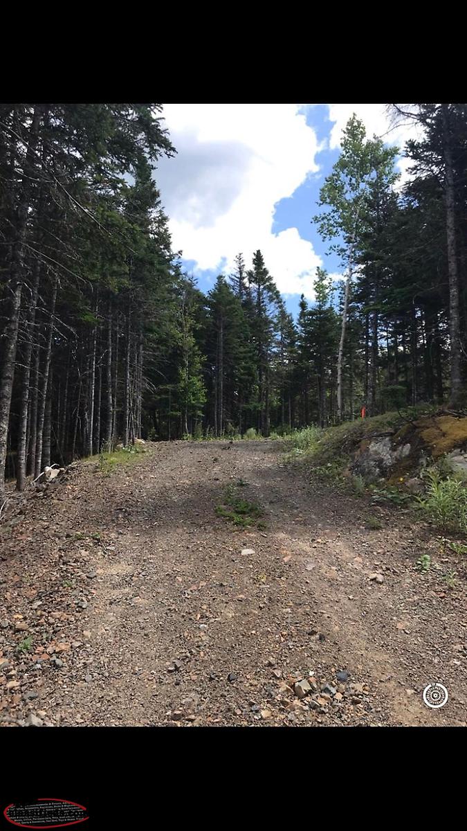 Pond side property for sale, Lethbridge NL Lethbridge, Newfoundland