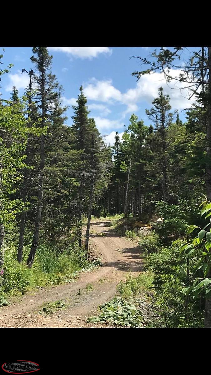 Pond side property for sale, Lethbridge NL Lethbridge, Newfoundland