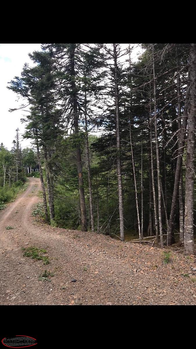 Pond side property for sale, Lethbridge NL Lethbridge, Newfoundland