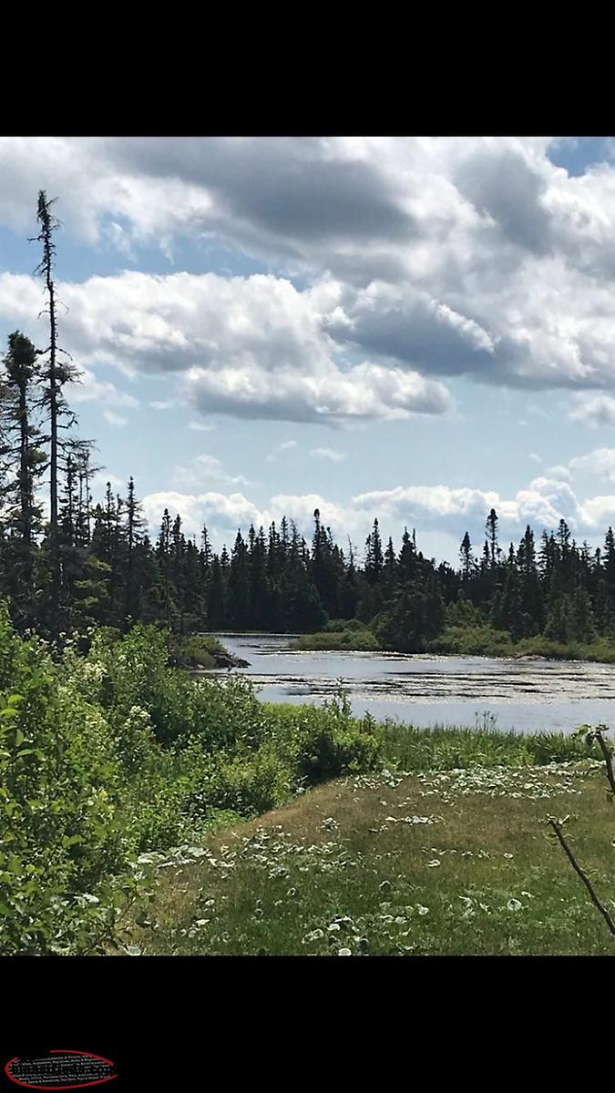 Pond side property for sale, Lethbridge NL Lethbridge, Newfoundland Labrador NL Classifieds