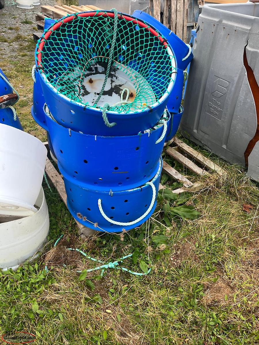 Plastic Barrel Whelk Pots Renews, Newfoundland Labrador NL Classifieds