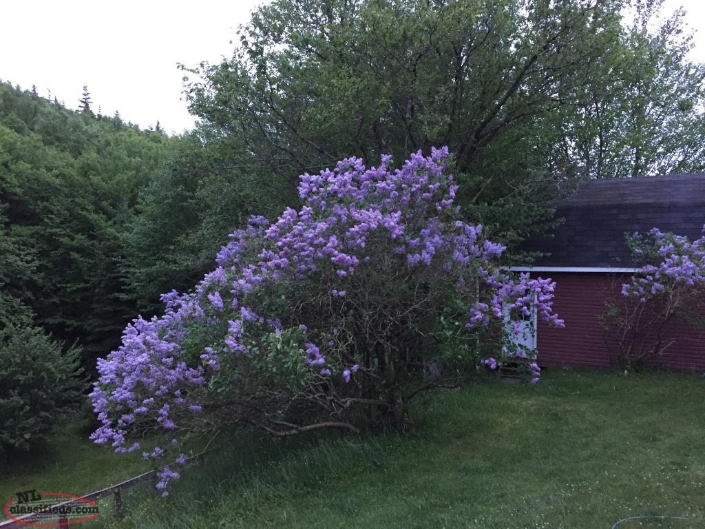 House For Sale 269 Main Street, Milltown, Newfoundland & Labrador