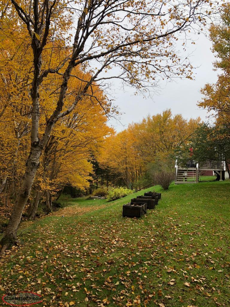 House For Sale 269 Main Street, Milltown, Newfoundland & Labrador