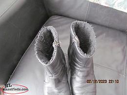 Looking For Beef Calf Or Pair Avondale, Newfoundland Labrador NL