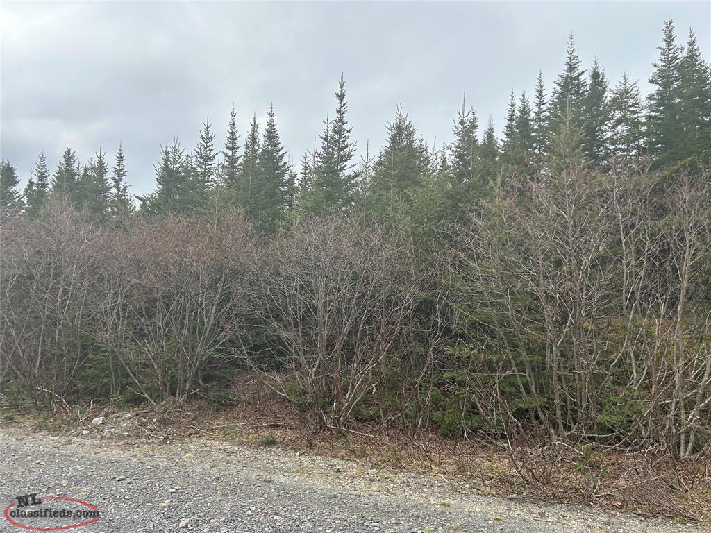 CABIN LOT 5 Burgoyne's Cove, Nl, Newfoundland Labrador NL Classifieds
