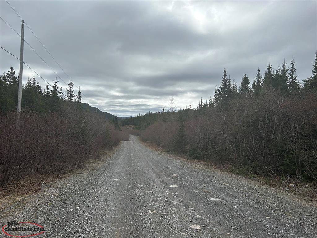 CABIN LOT 5 Burgoyne's Cove, Nl, Newfoundland Labrador NL Classifieds