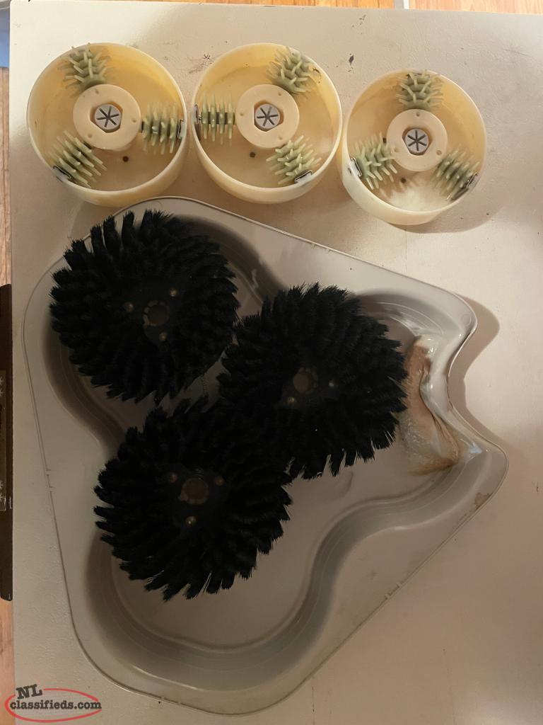 Electrolux Carpet Cleaner Epic Floor Pro Flatrock, Newfoundland