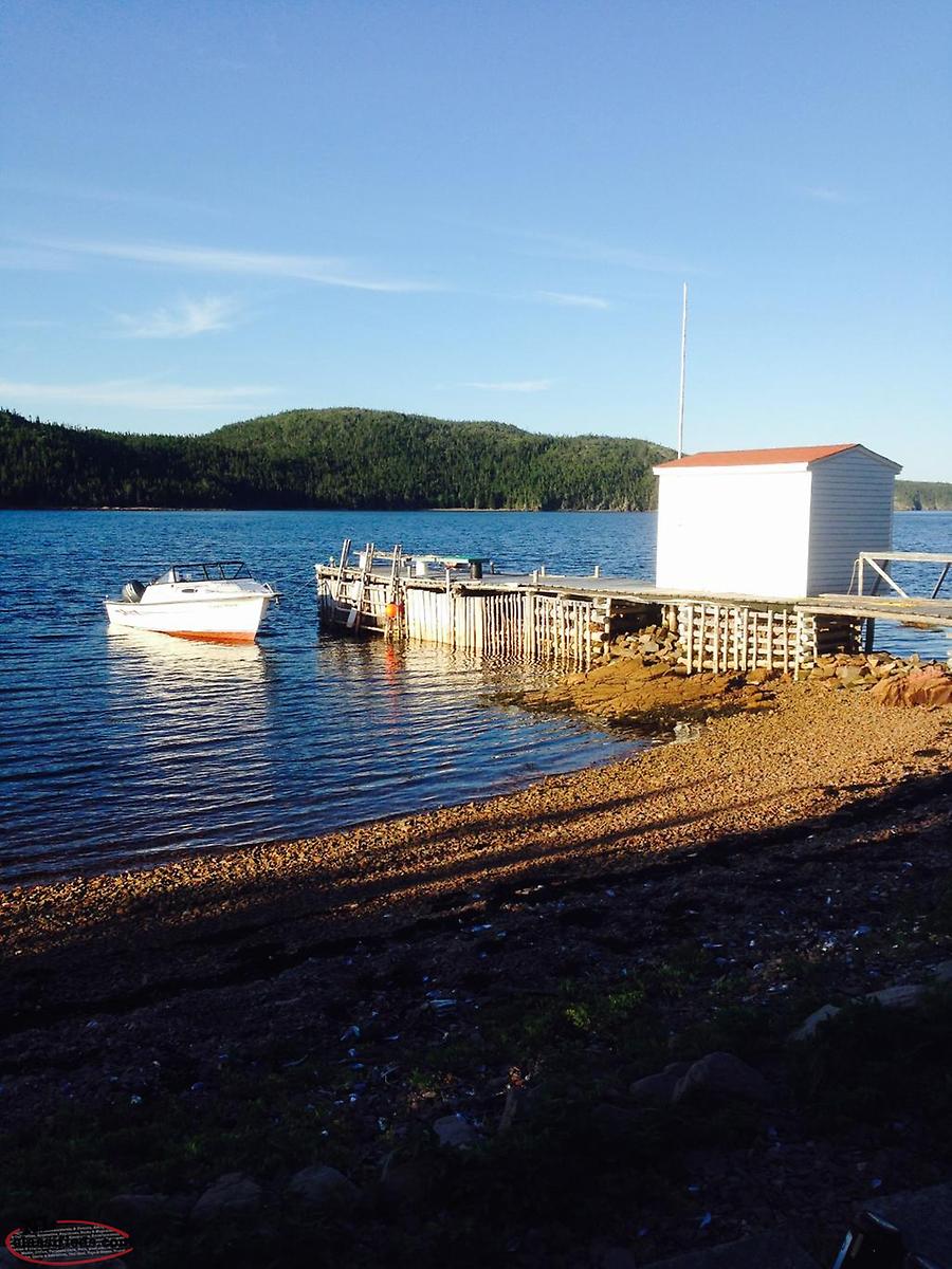 22 Sea Serpent boat for sale Birchy Bay, Newfoundland Labrador NL