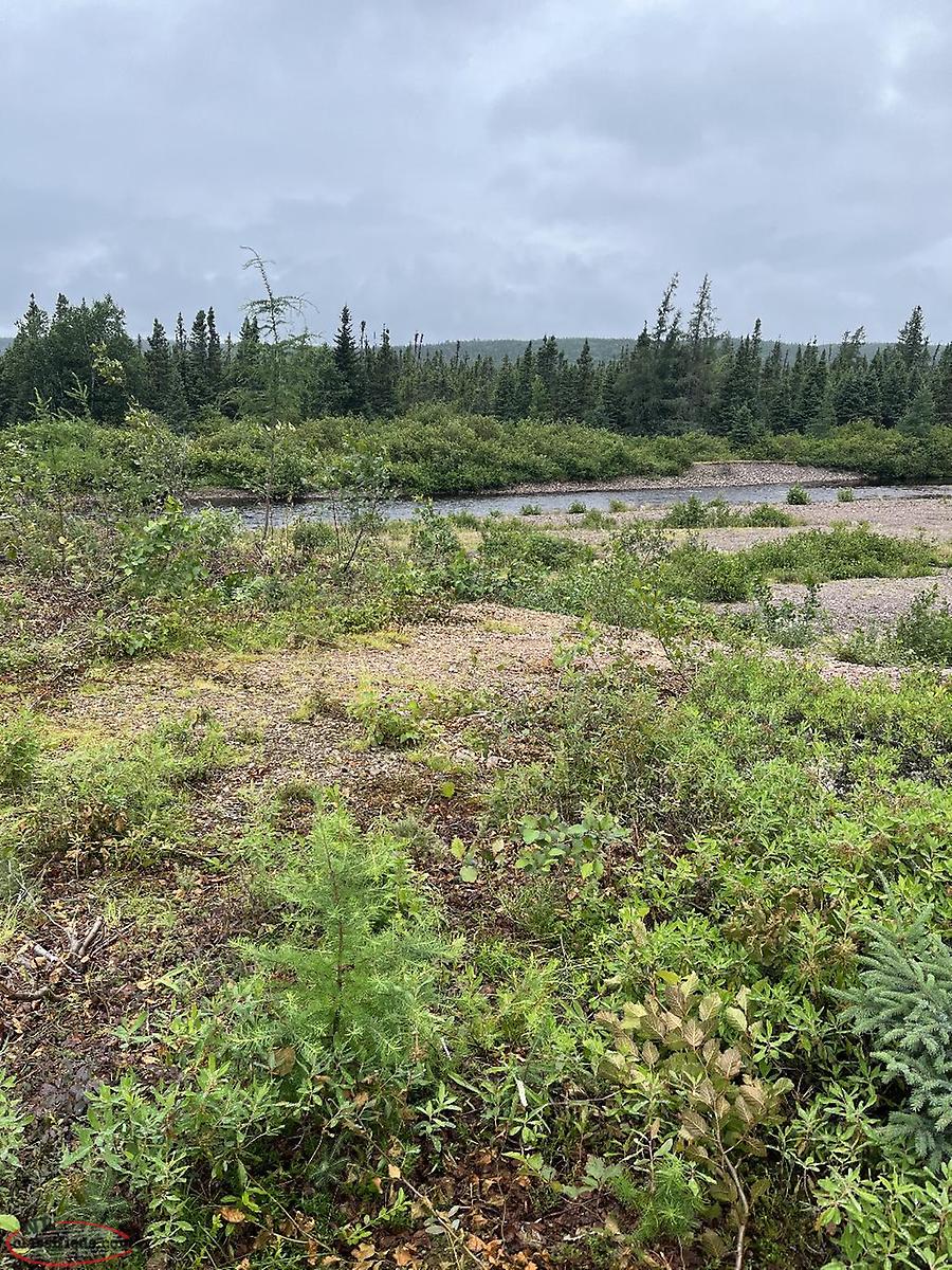 Approx 1 Acre Land with cabin Birchy Lake brookside Near