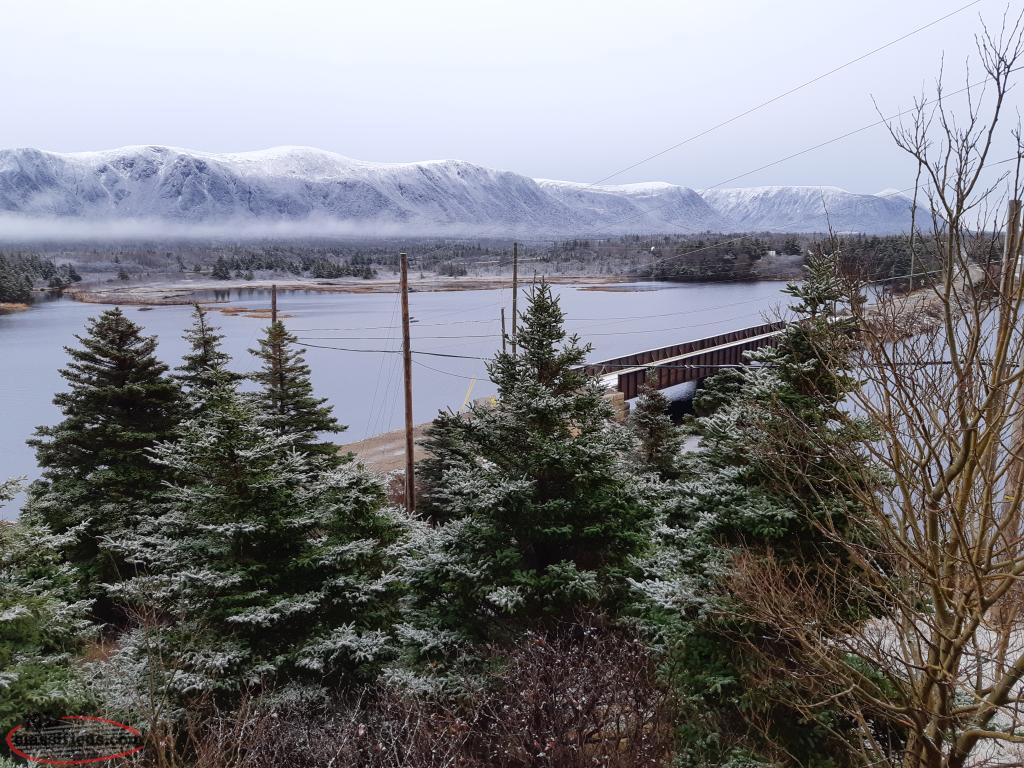 riverfront home + land in beautiful codroy valley St. Andrew's