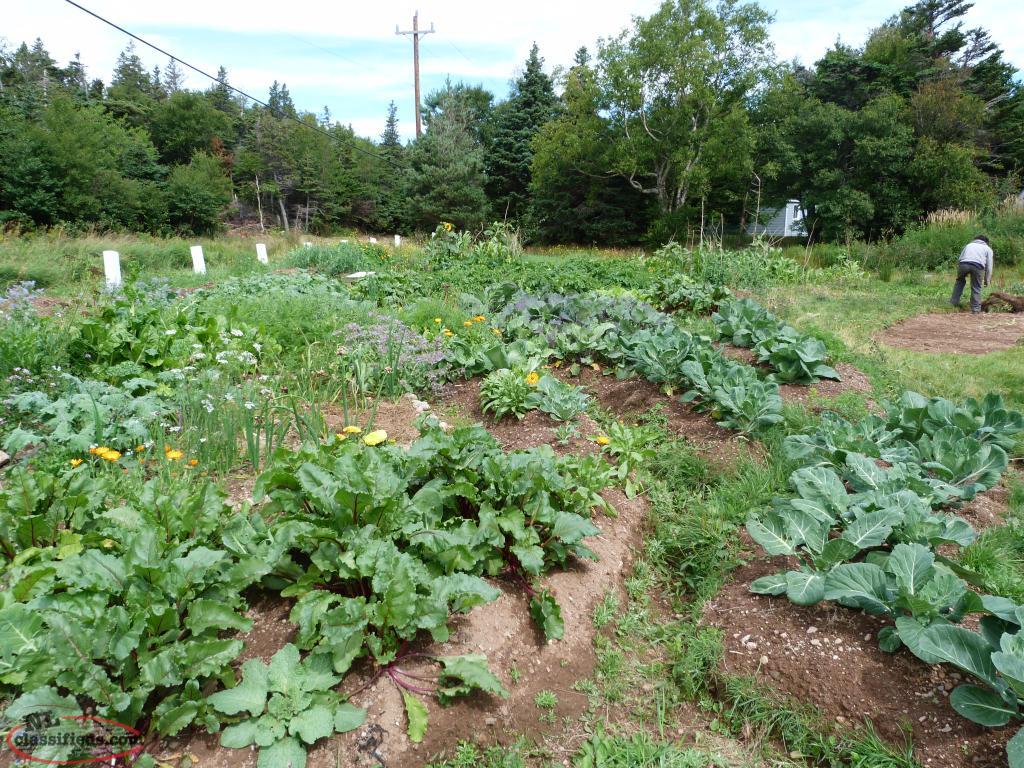 riverfront home + land in beautiful codroy valley St. Andrew's