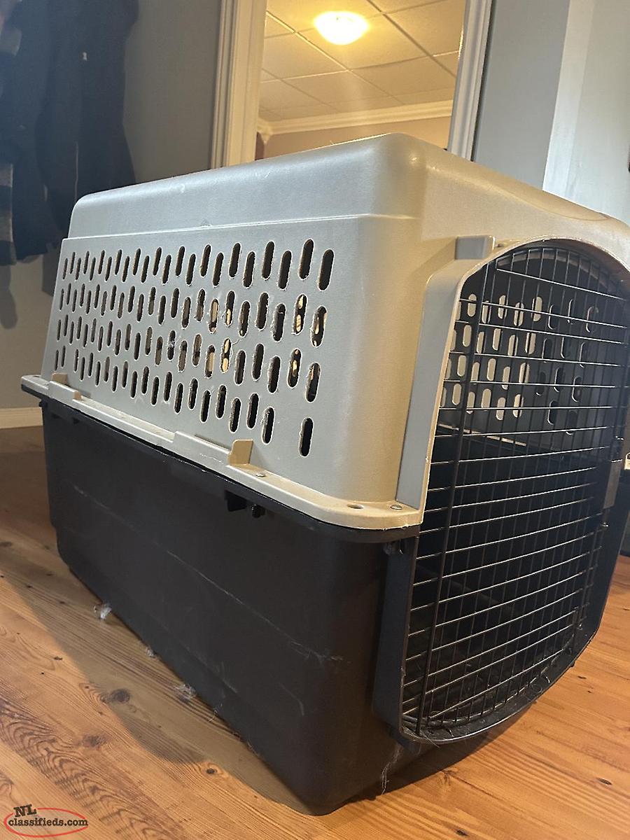 Large Dog Kennel Harbour Grace, Newfoundland Labrador NL Classifieds