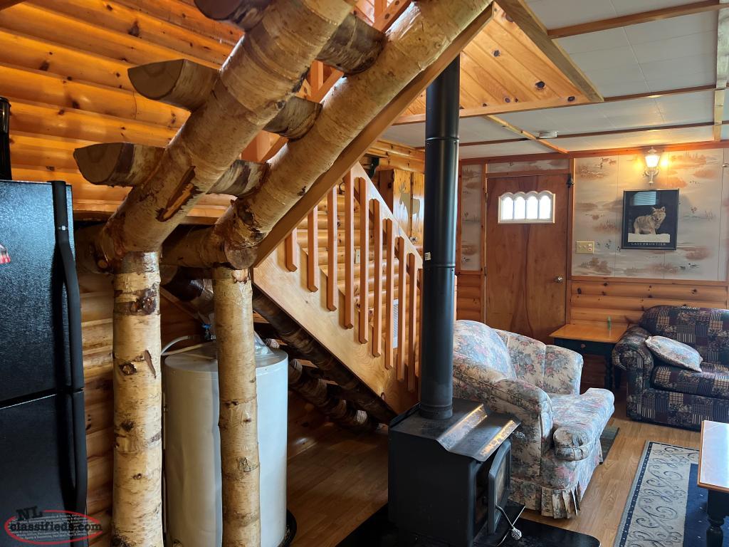 Cabin on the outskirts of for under 100k!