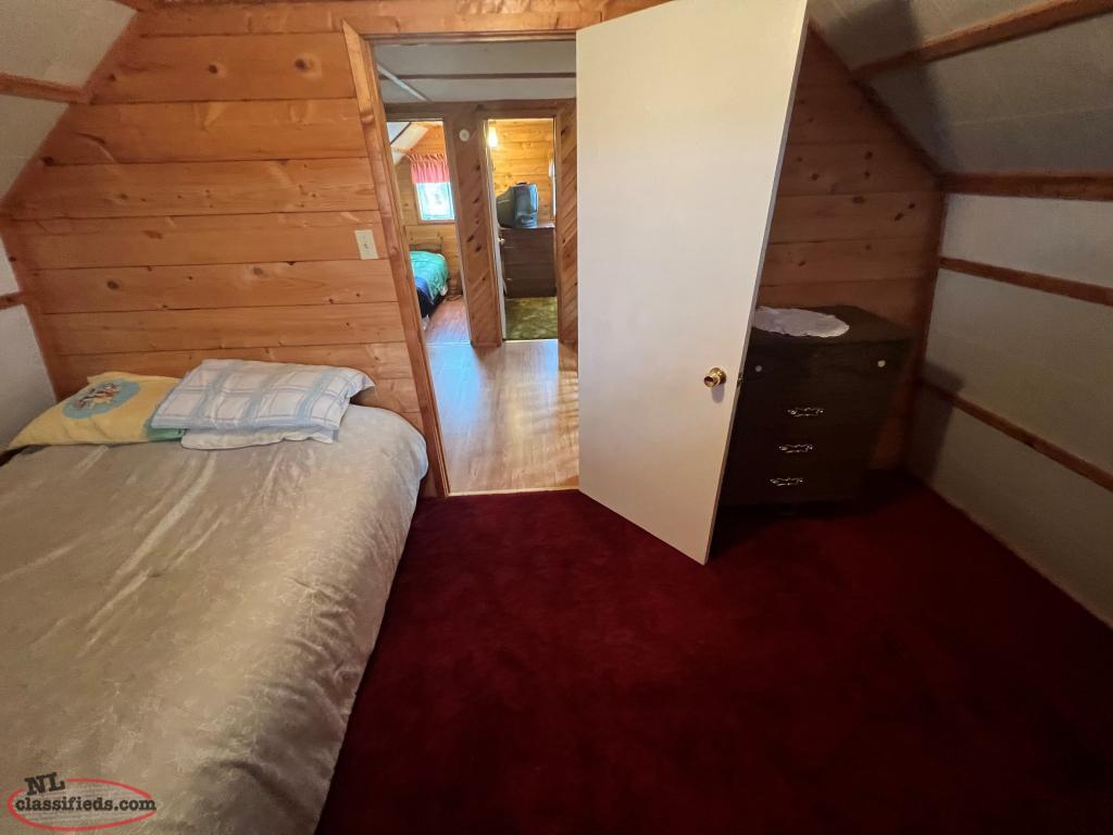 Cabin on the outskirts of for under 100k!