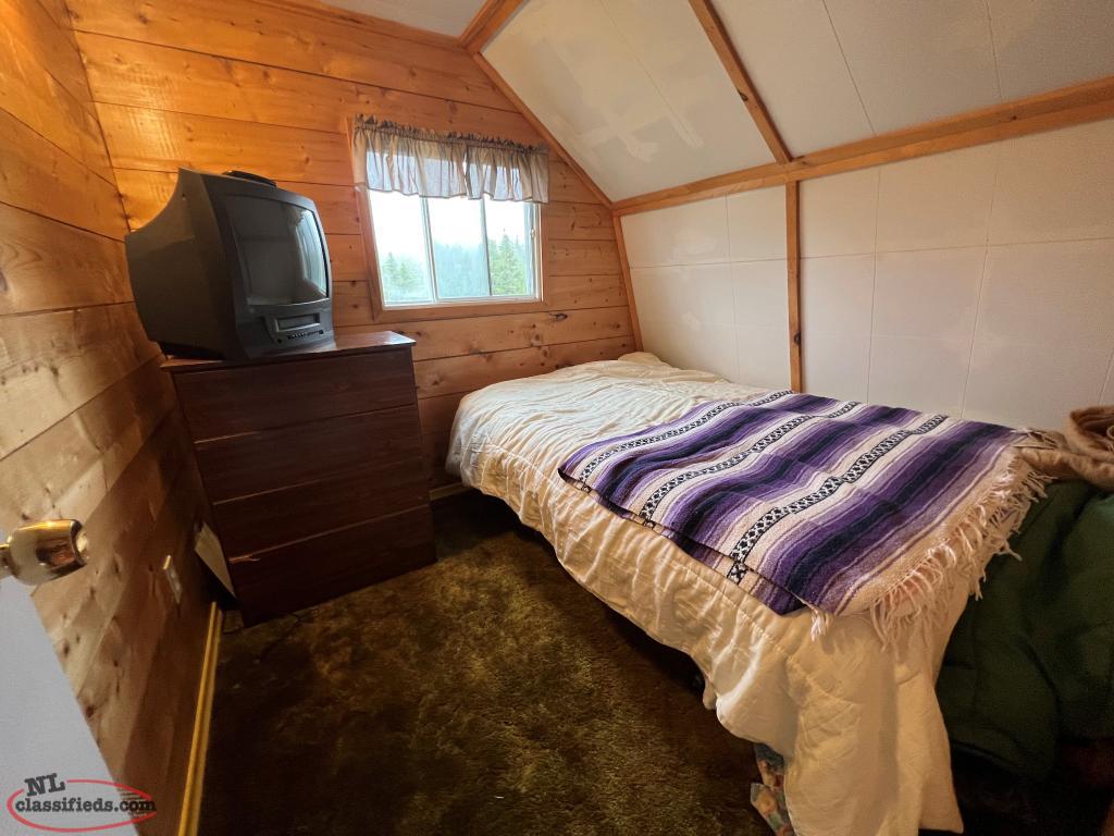 Cabin on the outskirts of for under 100k!