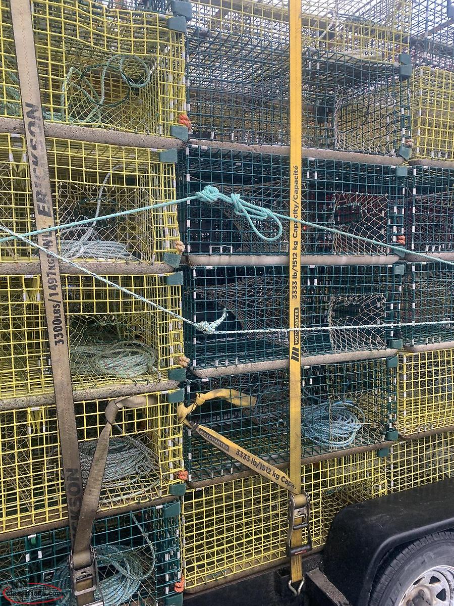 WIRE LOBSTER TRAPS 36 INCH!! St Davids, Newfoundland Labrador NL