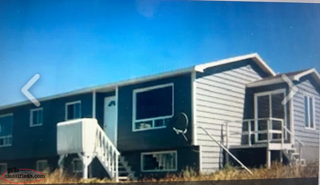 2 bedroom newly renovated basement apartment for rent Bonavista