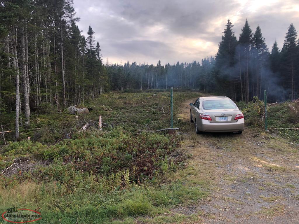 Ocean View Property Hopeall, Newfoundland Labrador NL Classifieds