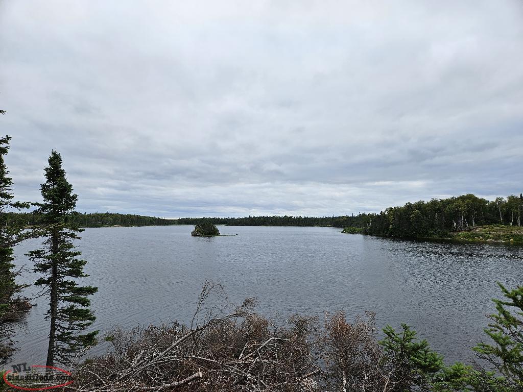 Cabin Land Gander, Newfoundland Labrador NL Classifieds